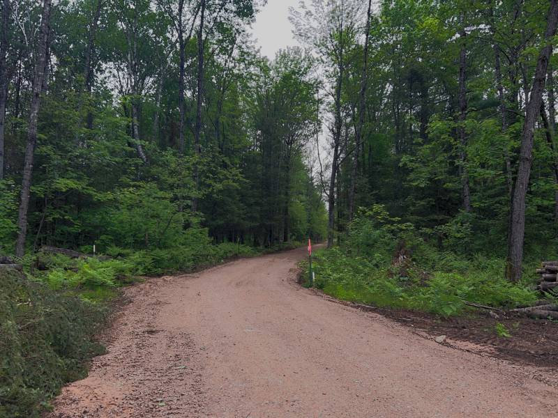 5.99 AC Buckatabon Rd E, , Conover,  WI 54519 United States