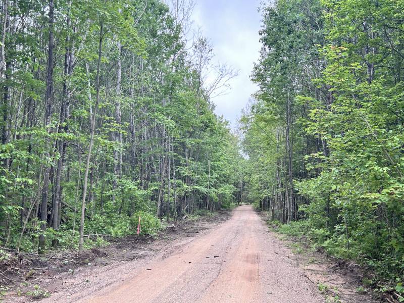 5.99 AC Buckatabon Rd E, , Conover,  WI 54519 United States