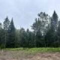 5.99 AC Buckatabon Rd E, , Conover,  WI 54519 United States