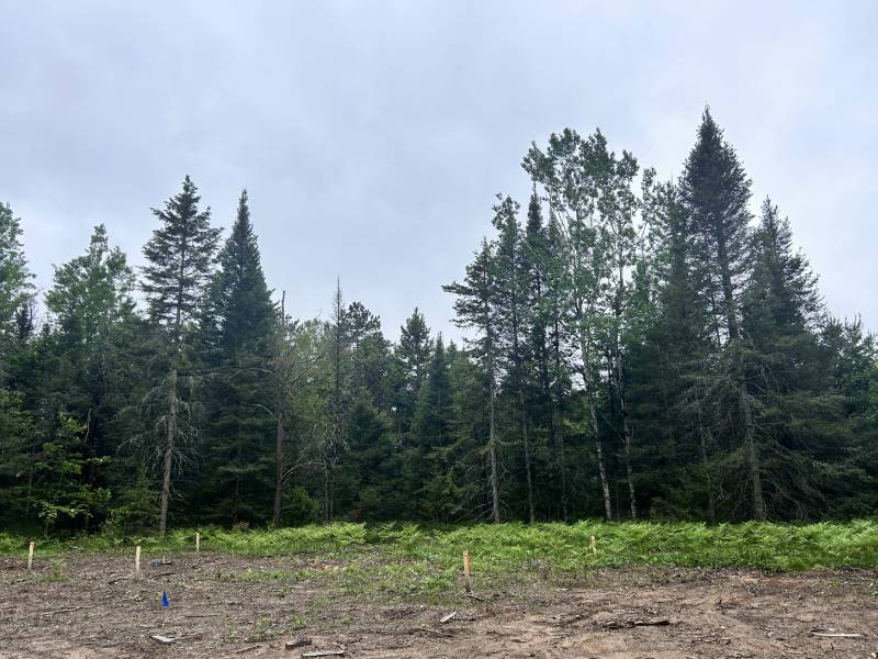 5.99 AC Buckatabon Rd E, , Conover,  WI 54519 United States