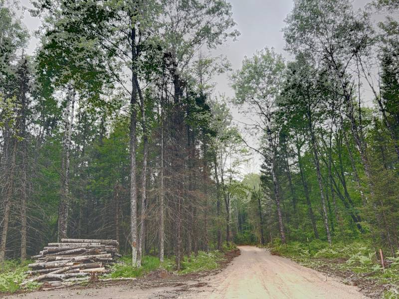 5.99 AC Buckatabon Rd E, , Conover,  WI 54519 United States