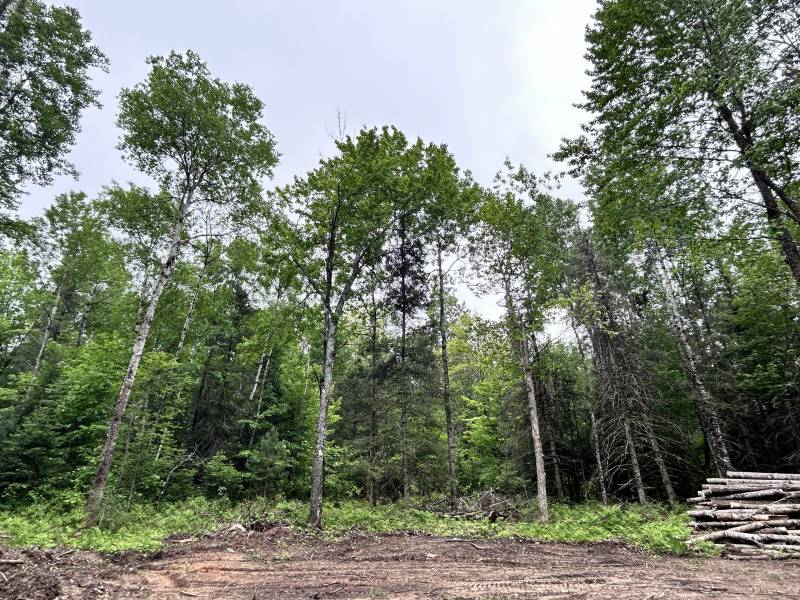 5.99 AC Buckatabon Rd E, , Conover,  WI 54519 United States