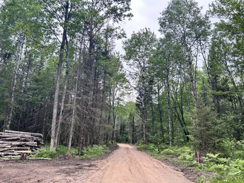 5.99 AC Buckatabon Rd E, , Conover,  WI 54519 United States