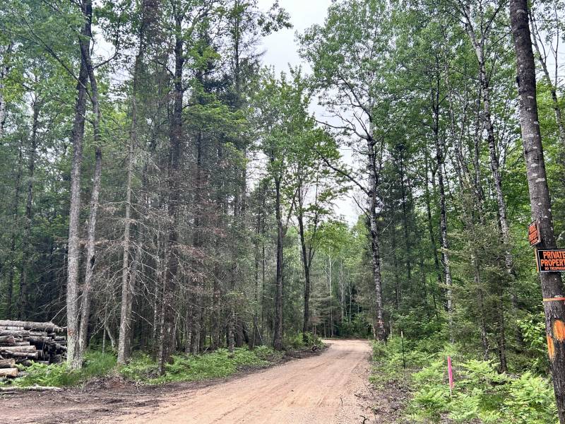 5.99 AC Buckatabon Rd E, , Conover,  WI 54519 United States