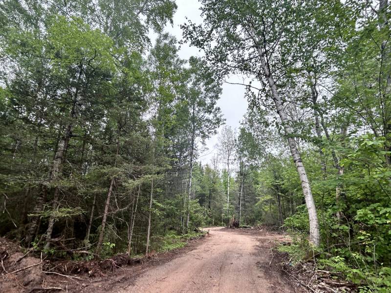 5.99 AC Buckatabon Rd E, , Conover,  WI 54519 United States