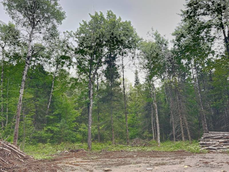 5.99 AC Buckatabon Rd E, , Conover,  WI 54519 United States