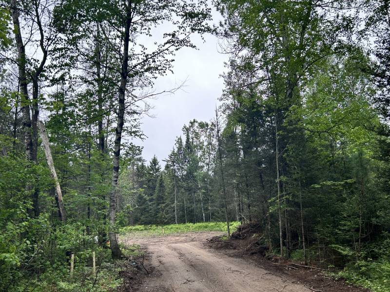 5.99 AC Buckatabon Rd E, , Conover,  WI 54519 United States