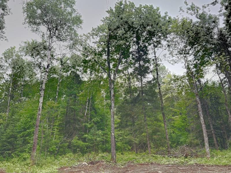 5.99 AC Buckatabon Rd E, , Conover,  WI 54519 United States