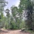 5.99 AC Buckatabon Rd E, , Conover,  WI 54519 United States