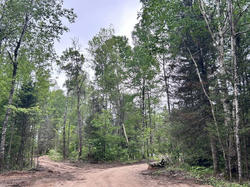 5.99 AC Buckatabon Rd E, , Conover,  WI 54519 United States