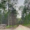 5.99 AC Buckatabon Rd E, , Conover,  WI 54519 United States