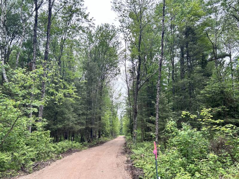 5.99 AC Buckatabon Rd E, , Conover,  WI 54519 United States