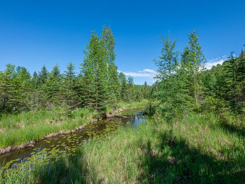 8.85 Ac off Trouten Ct, , Blackwell,  WI 54541 United States