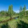 8.85 Ac off Trouten Ct, , Blackwell,  WI 54541 United States