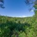 8.85 Ac off Trouten Ct, , Blackwell,  WI 54541 United States