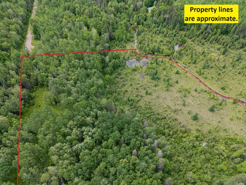 8.85 Ac off Trouten Ct, , Blackwell,  WI 54541 United States