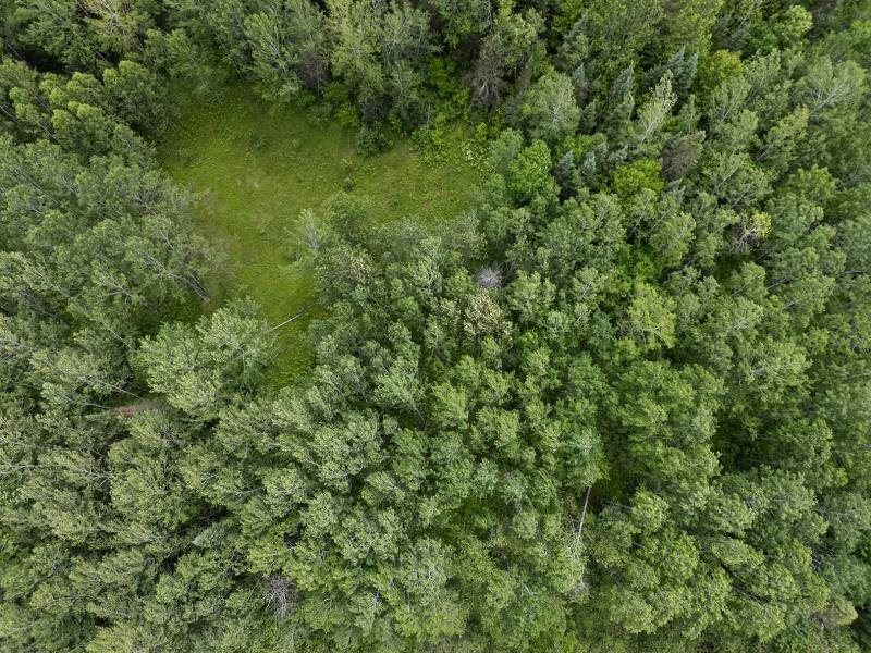 8.85 Ac off Trouten Ct, , Blackwell,  WI 54541 United States