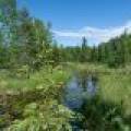 8.85 Ac off Trouten Ct, , Blackwell,  WI 54541 United States