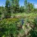 8.85 Ac off Trouten Ct, , Blackwell,  WI 54541 United States