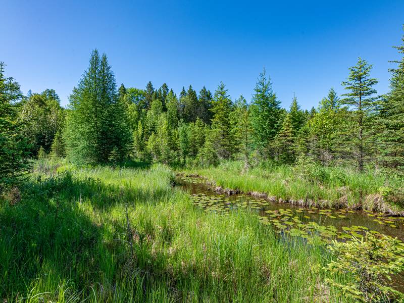 8.85 Ac off Trouten Ct, , Blackwell,  WI 54541 United States