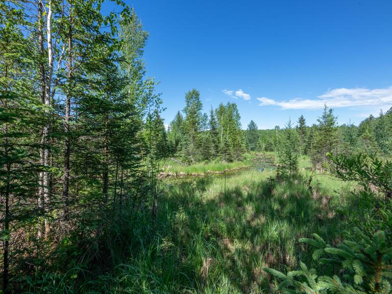 8.85 Ac off Trouten Ct, , Blackwell,  WI 54541 United States