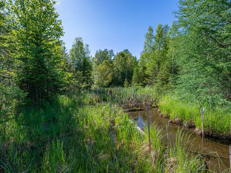 8.85 Ac off Trouten Ct, , Blackwell,  WI 54541 United States