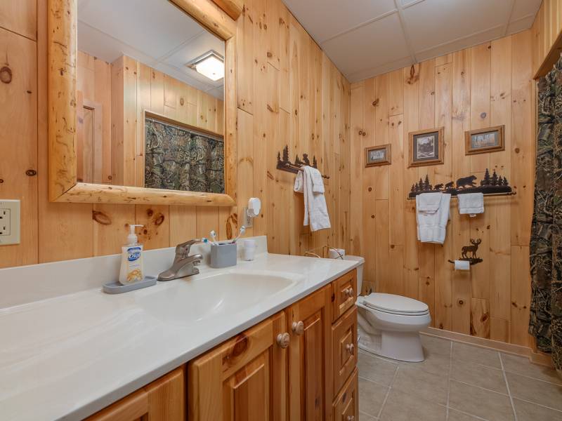 House Only - 1380 S Big Lake Loop, , Three Lakes,  WI 54562 United States