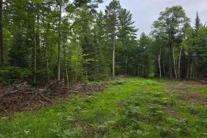On Dam Rd, , Eagle River,  WI 54521 United States