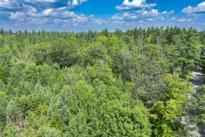 On Dam Rd, , Eagle River,  WI 54521 United States