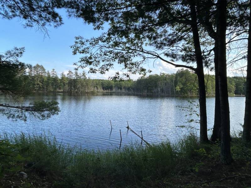 14875 Deer Trail Acres Ln, , Lac du Flambeau,  WI 54538 United States