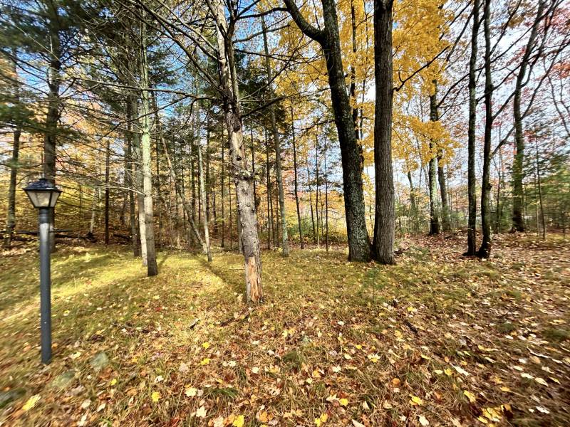 14875 Deer Trail Acres Ln, , Lac du Flambeau,  WI 54538 United States