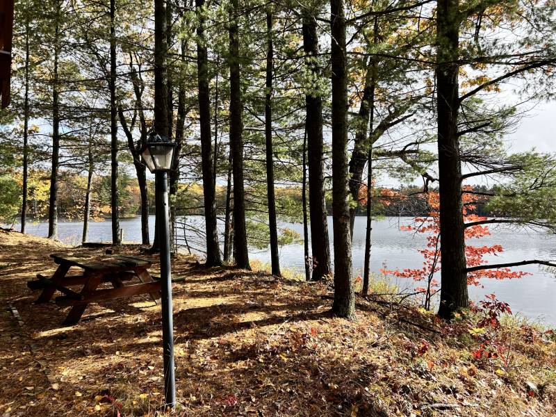 14875 Deer Trail Acres Ln, , Lac du Flambeau,  WI 54538 United States