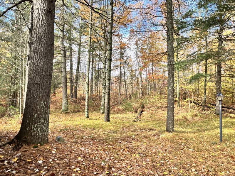 14875 Deer Trail Acres Ln, , Lac du Flambeau,  WI 54538 United States