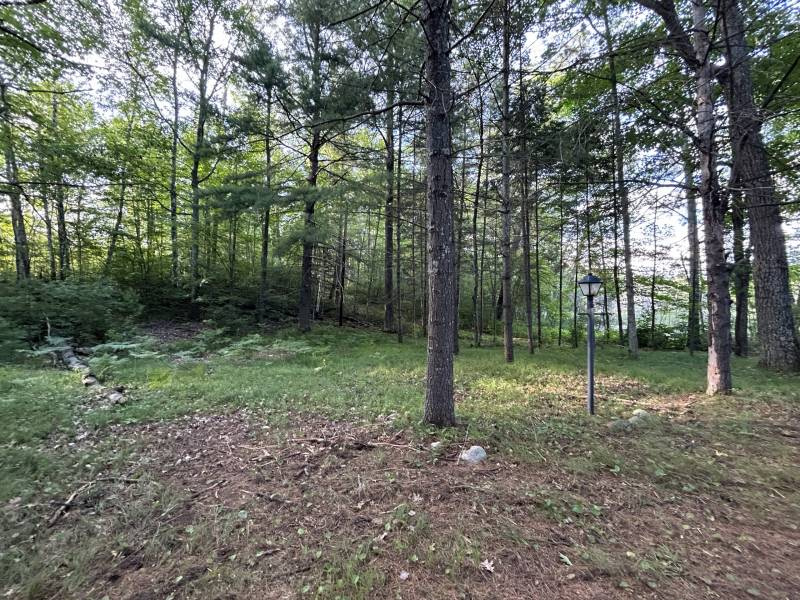 14875 Deer Trail Acres Ln, , Lac du Flambeau,  WI 54538 United States