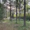 14875 Deer Trail Acres Ln, , Lac du Flambeau,  WI 54538 United States