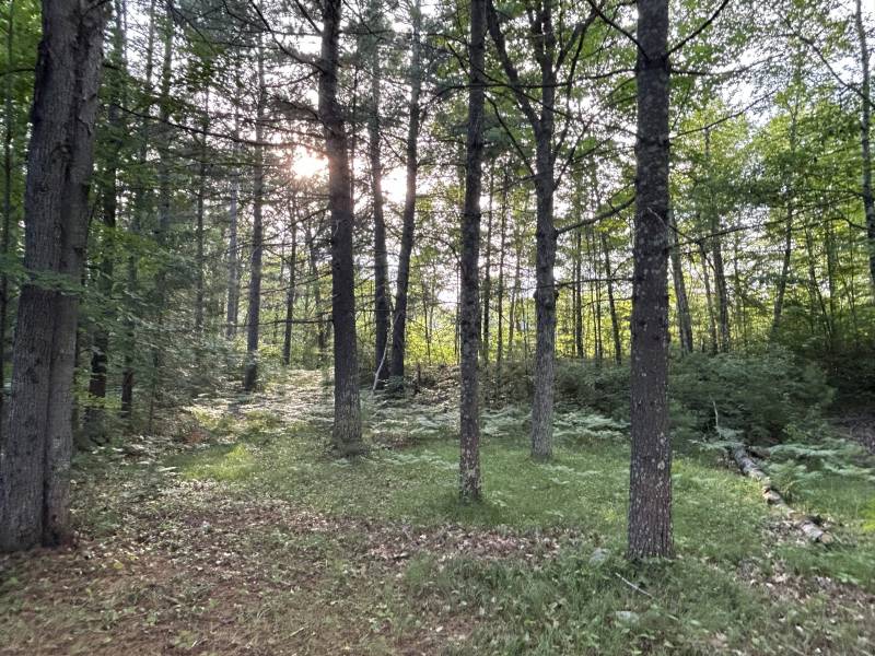 14875 Deer Trail Acres Ln, , Lac du Flambeau,  WI 54538 United States