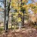 14875 Deer Trail Acres Ln, , Lac du Flambeau,  WI 54538 United States