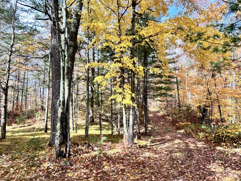 14875 Deer Trail Acres Ln, , Lac du Flambeau,  WI 54538 United States