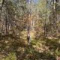 4 Off Haskell Heights Dr, , Lac du Flambeau,  WI 54538 United States