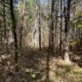 4 Off Haskell Heights Dr, , Lac du Flambeau,  WI 54538 United States