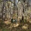 4 Off Haskell Heights Dr, , Lac du Flambeau,  WI 54538 United States