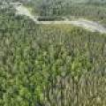 7534 CTH D, , Sugar Camp,  WI 54521 United States