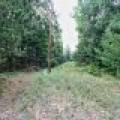 7534 CTH D, , Sugar Camp,  WI 54521 United States