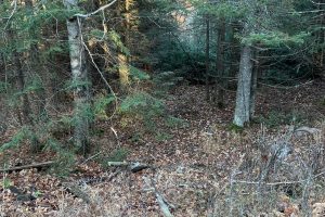 7534 CTH D, , Sugar Camp,  WI 54521 United States