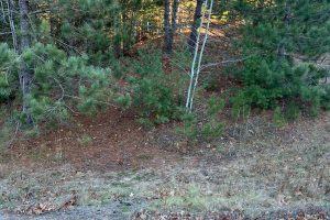 7534 CTH D, , Sugar Camp,  WI 54521 United States