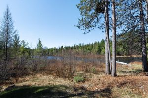 5669 Boulder Ridge Trl, , Boulder Junction,  WI 54512 United States