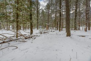 Off E Holiday Dr, , St Germain,  WI 54558 United States
