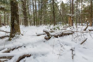 Off E Holiday Dr, , St Germain,  WI 54558 United States