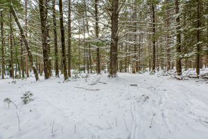 Off E Holiday Dr, , St Germain,  WI 54558 United States