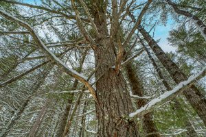 Off E Holiday Dr, , St Germain,  WI 54558 United States